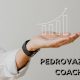 pedrovazpaulo coaching