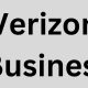 verizon business